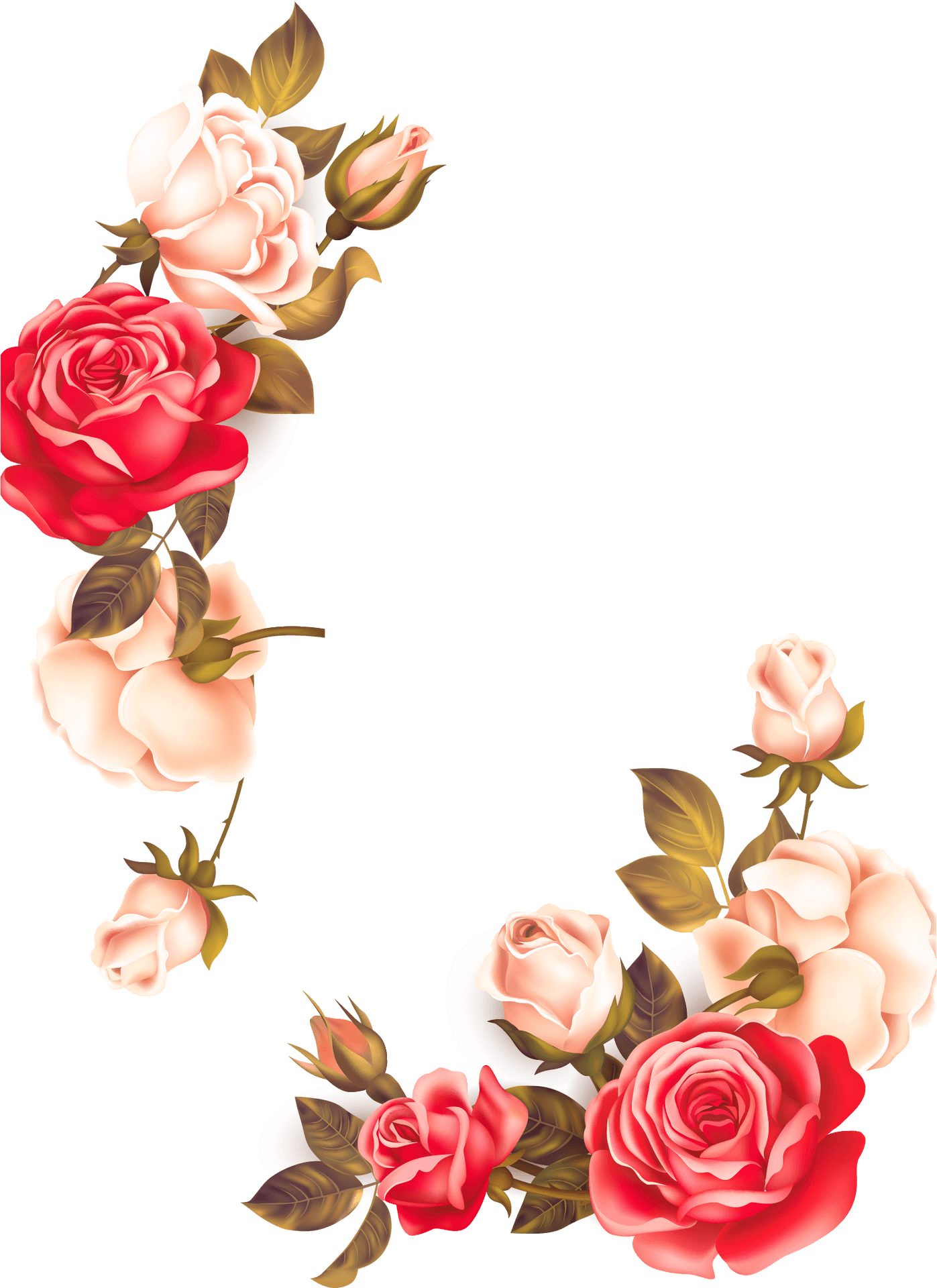 Elegant Rose Flower Border PNG Image