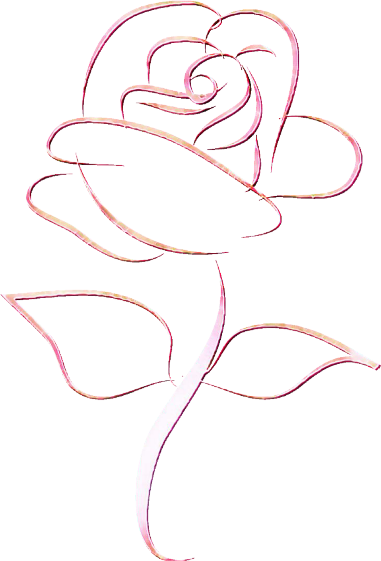 Elegant Rose Outline Art PNG Image