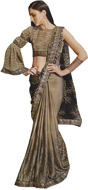 Elegant Saree Model Pose PNG Image