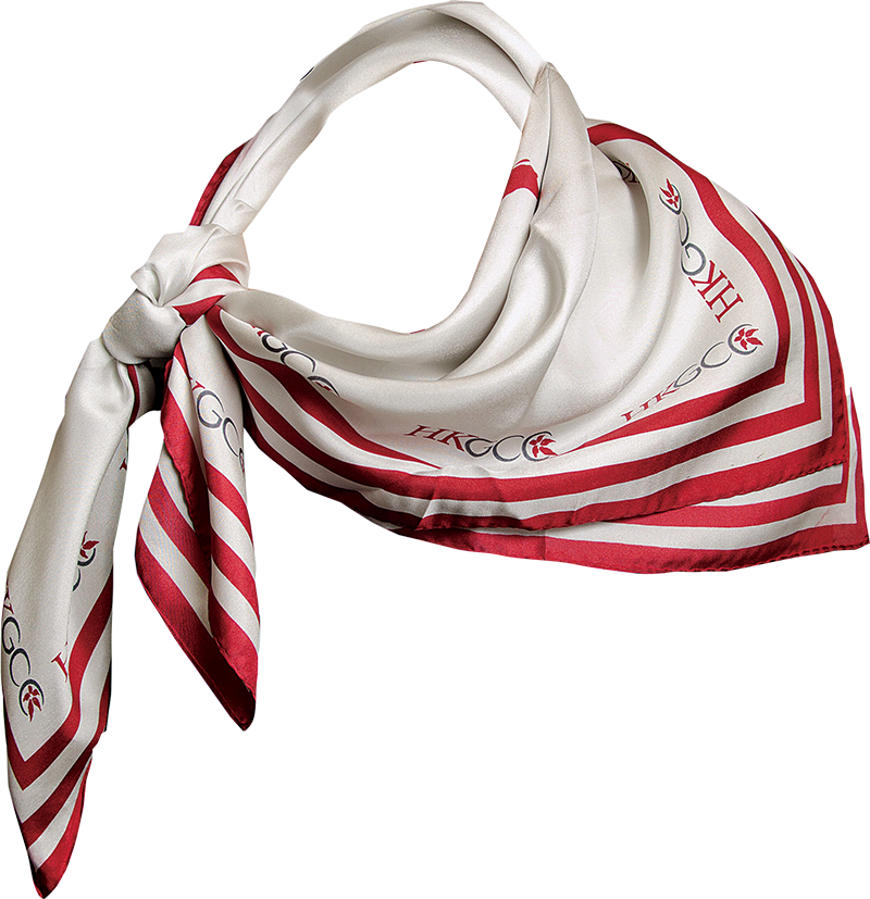 Elegant Striped Scarf PNG Image