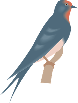 Elegant Swallow Illustration PNG Image