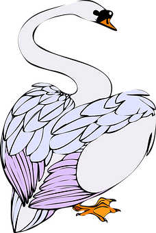 Elegant Swan Illustration PNG Image