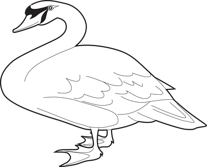 Elegant Swan Silhouette PNG Image