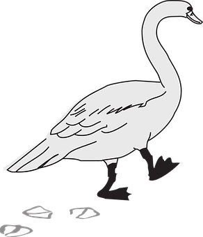 Elegant Swan Silhouette PNG Image