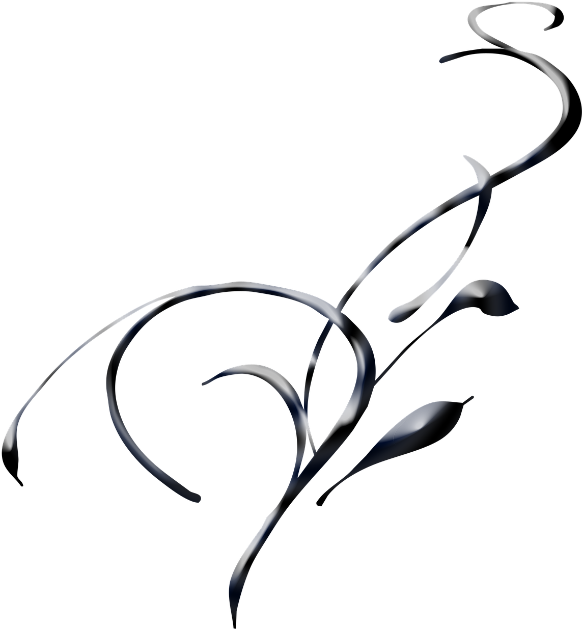 Elegant Swirls Abstract PNG Image