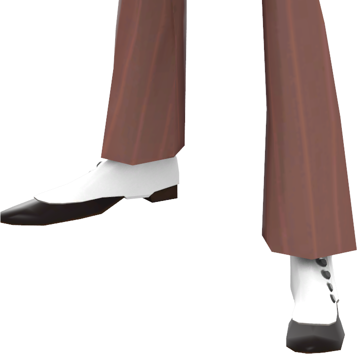 Elegant Two Tone Shoes PNG Image