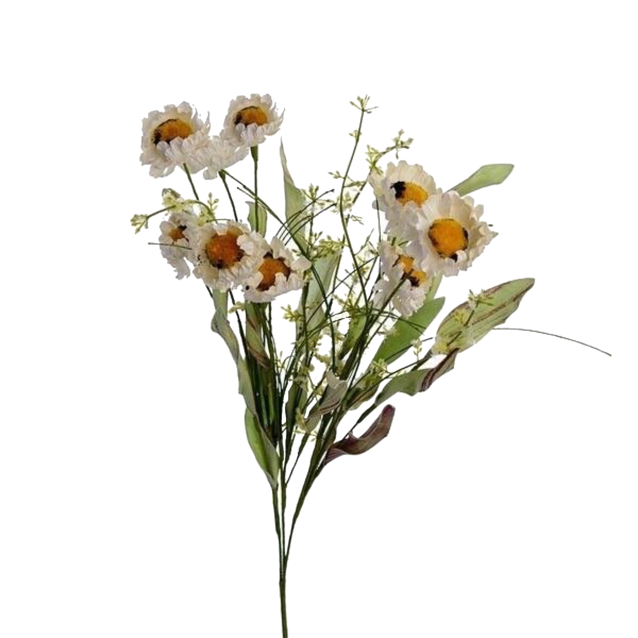 Elegant White Daisy Bouquet PNG Image