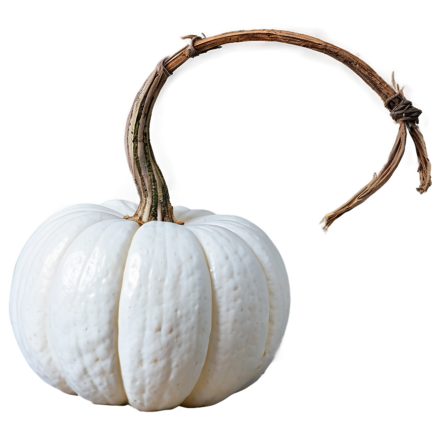 Elegant White Pumpkin Png Nfk PNG Image