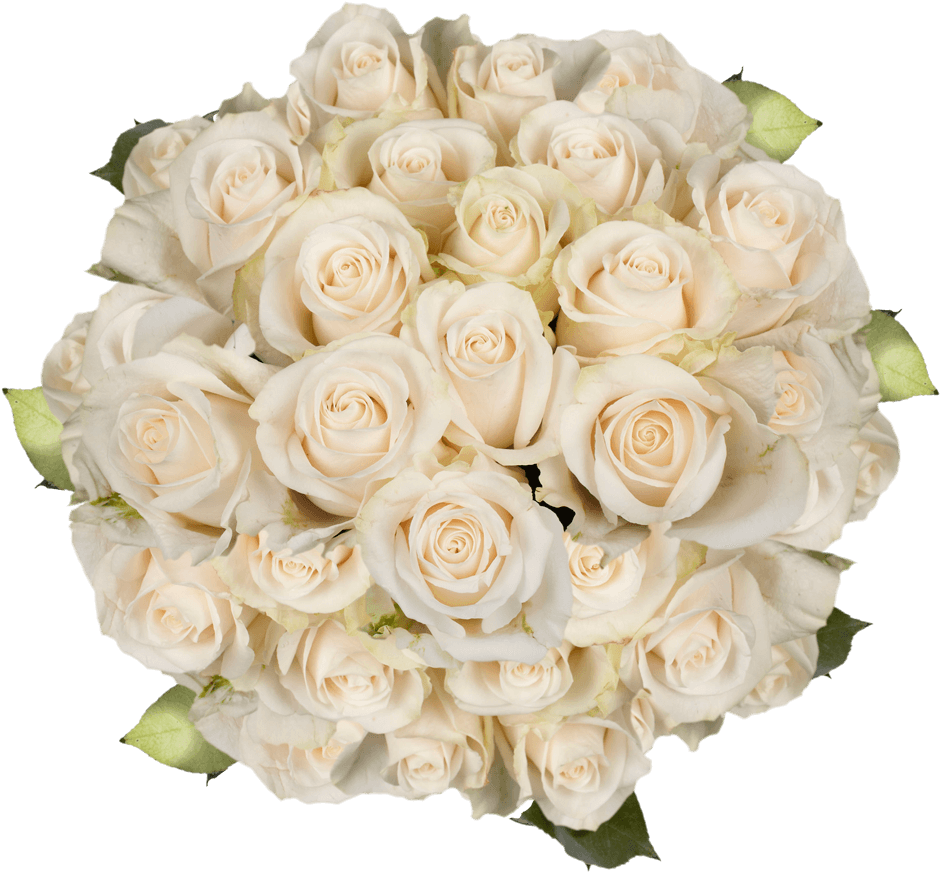 Elegant White Roses Bouquet PNG Image