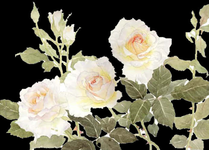 Elegant White Roses Watercolor PNG Image