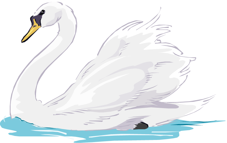 Elegant White Swan Illustration PNG Image