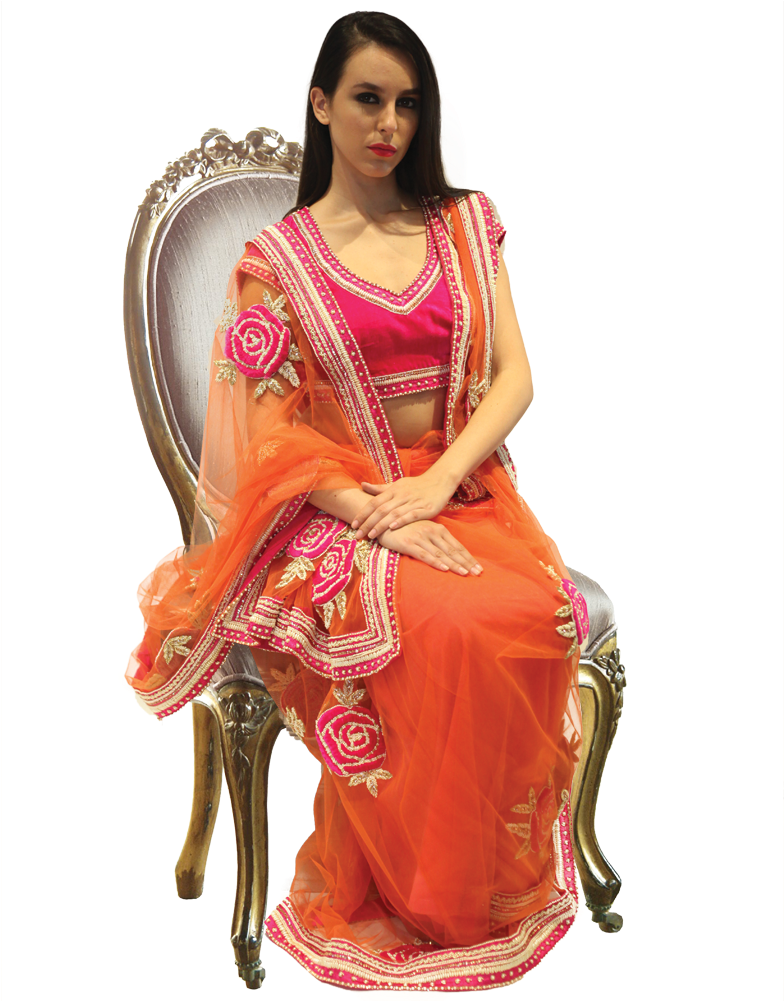 Elegant Womanin Orange Saree PNG Image