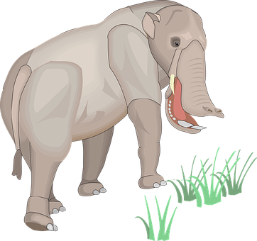 Elephant Grass Illustration PNG Image