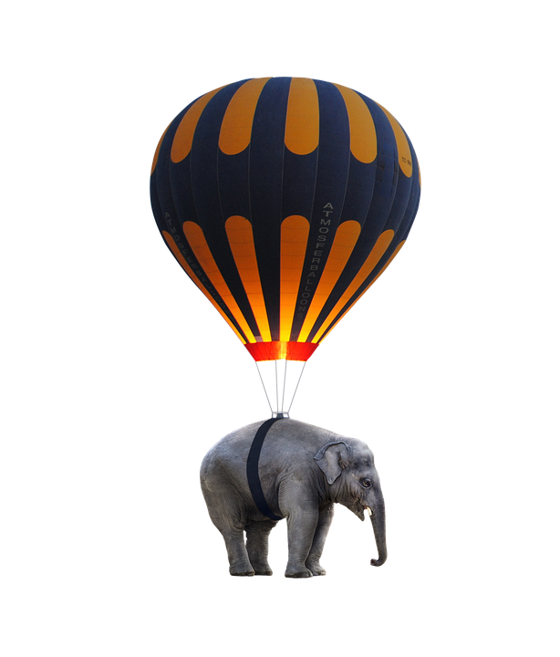 Elephant Hot Air Balloon Hybrid PNG Image