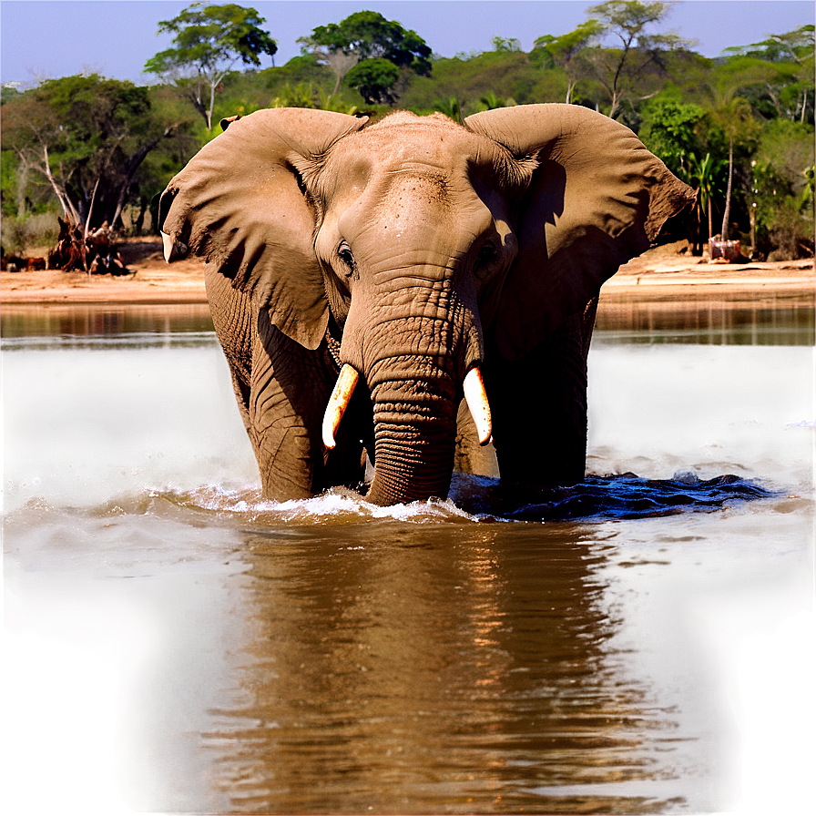 Elephant In River Crossing Png Alo31 PNG Image