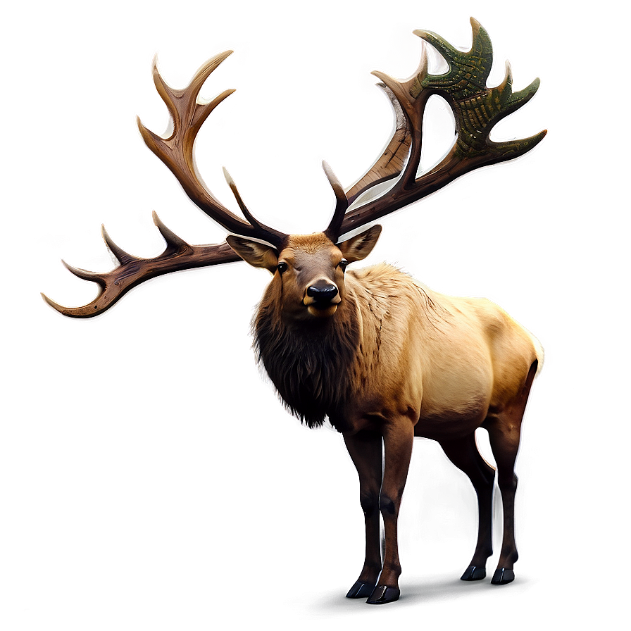 Elk Illustration Png 05242024 PNG Image