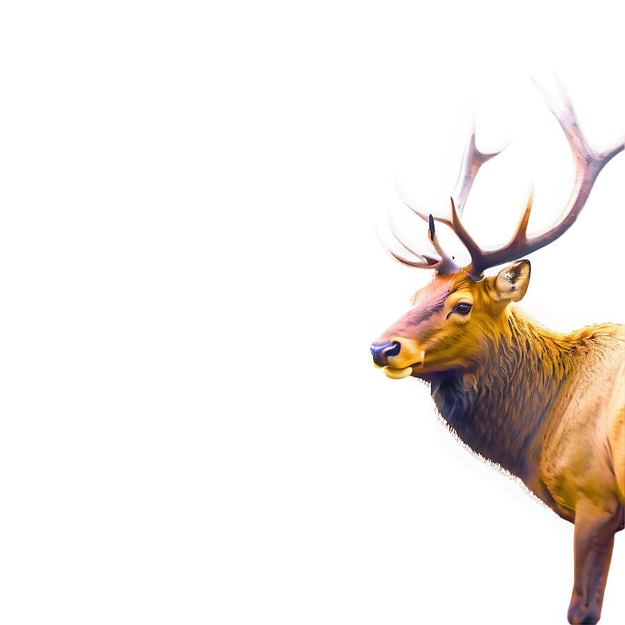 Elk Outline Png 13 PNG Image