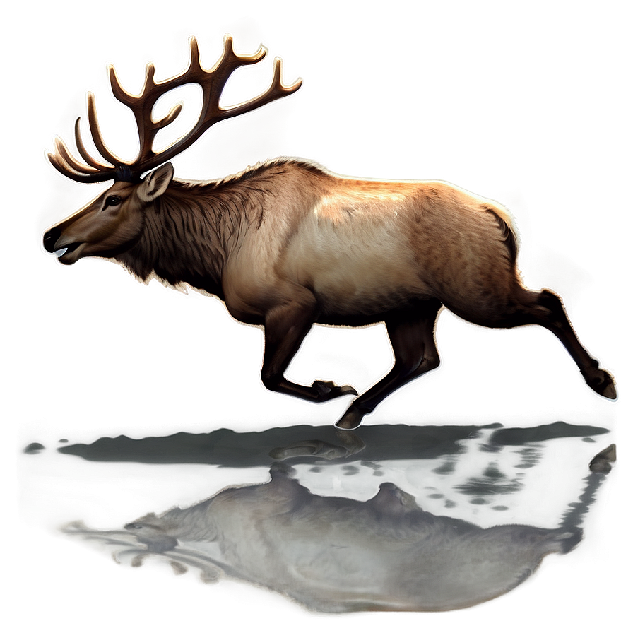 Elk Running Png 05242024 PNG Image