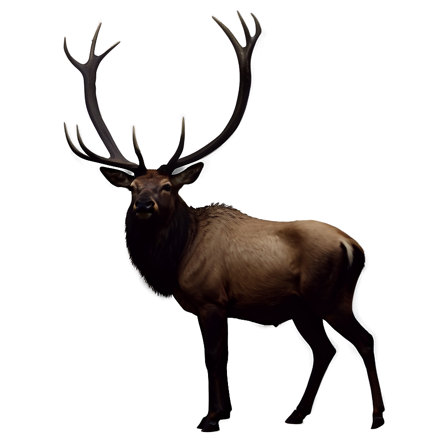 Elk Silhouette At Night Png Uha PNG Image