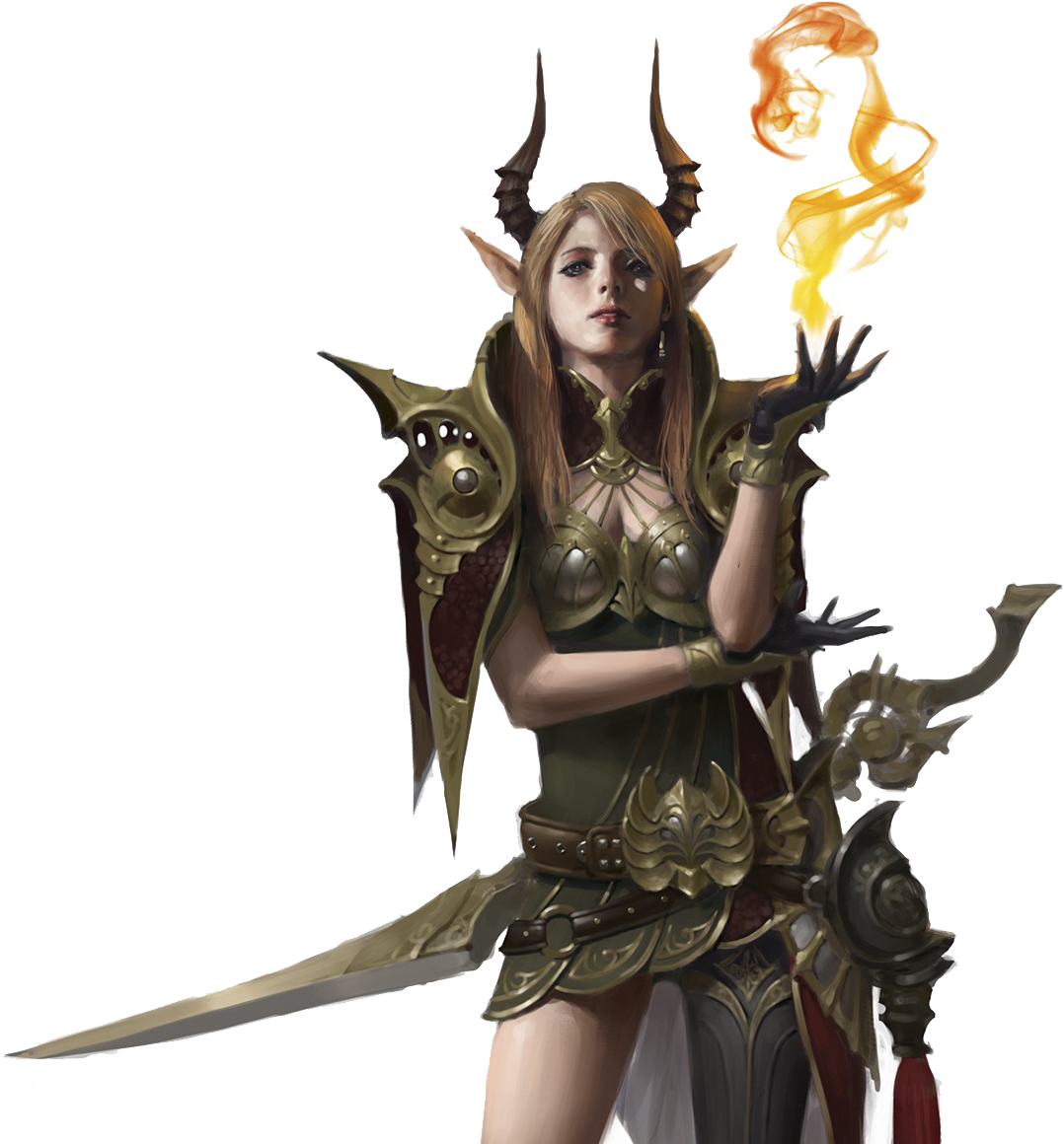 Elven_ Warrior_ Mage_ Fantasy_ Art PNG Image