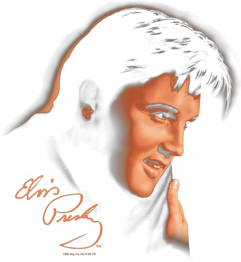 Elvis Presley Iconic Stylized Portrait PNG Image