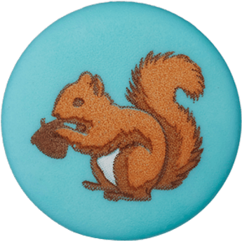 Embroidered Squirrel With Acorn PNG Image