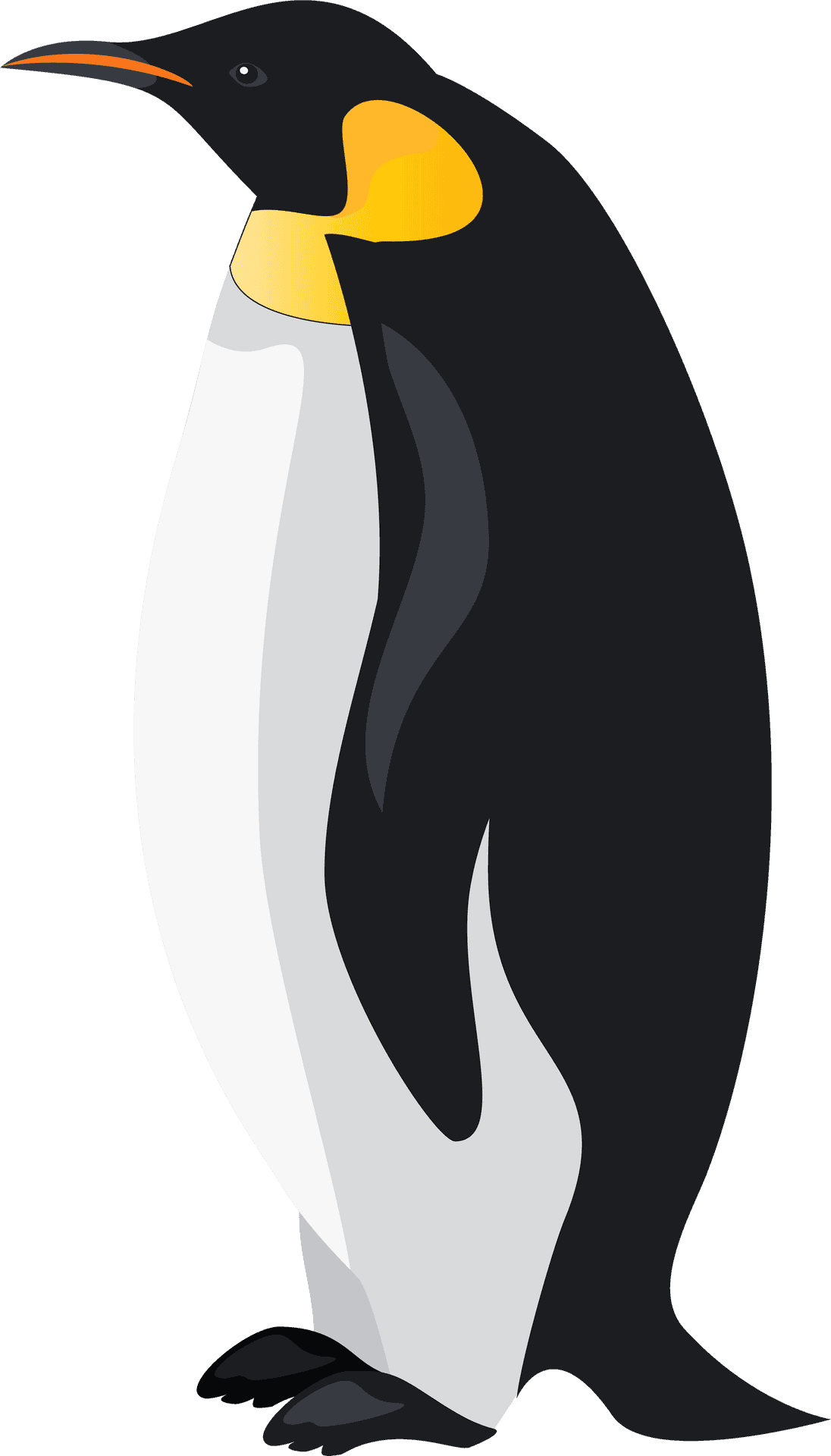 Emperor Penguin Illustration PNG Image