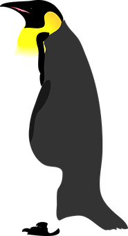 Emperor Penguin Silhouette PNG Image