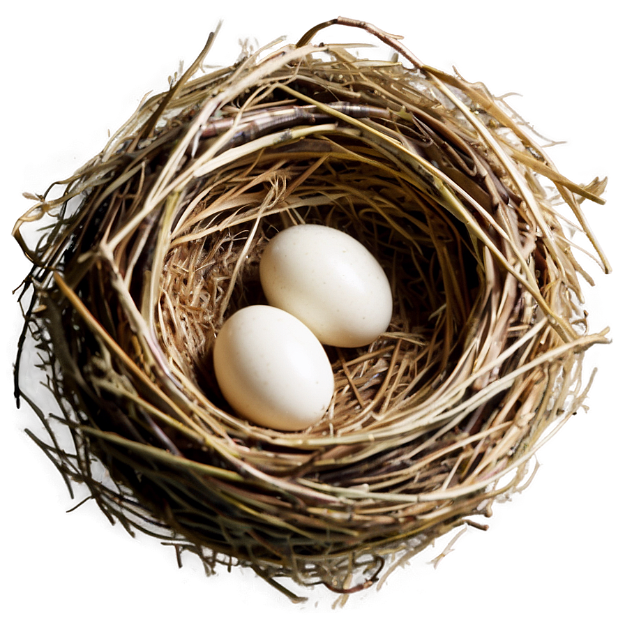 Empty Bird Nest Png Rew PNG Image