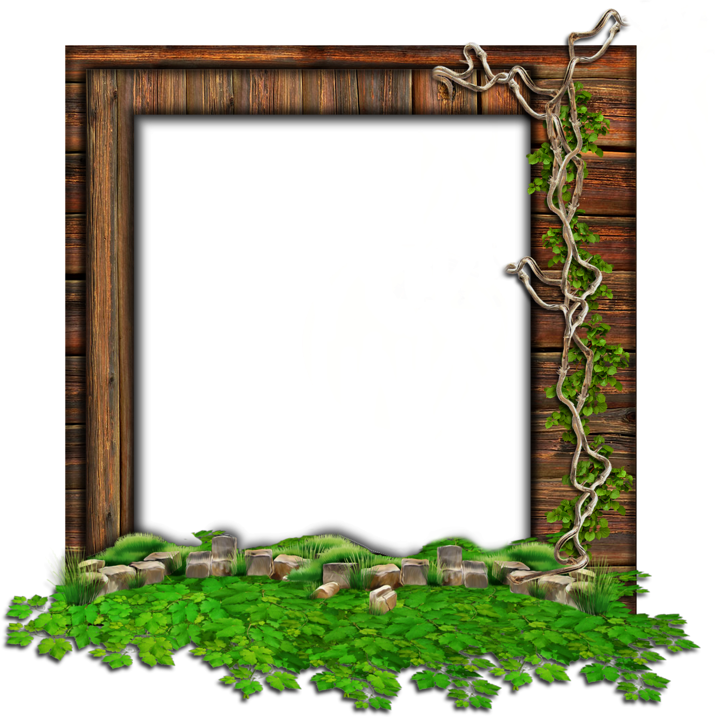 Enchanted Forest Frame PNG Image