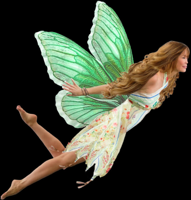 Enchanted Garden Fairy PNG Image