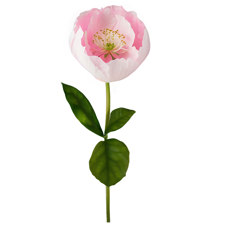 Enchanted Pink Flower Png Qea PNG Image