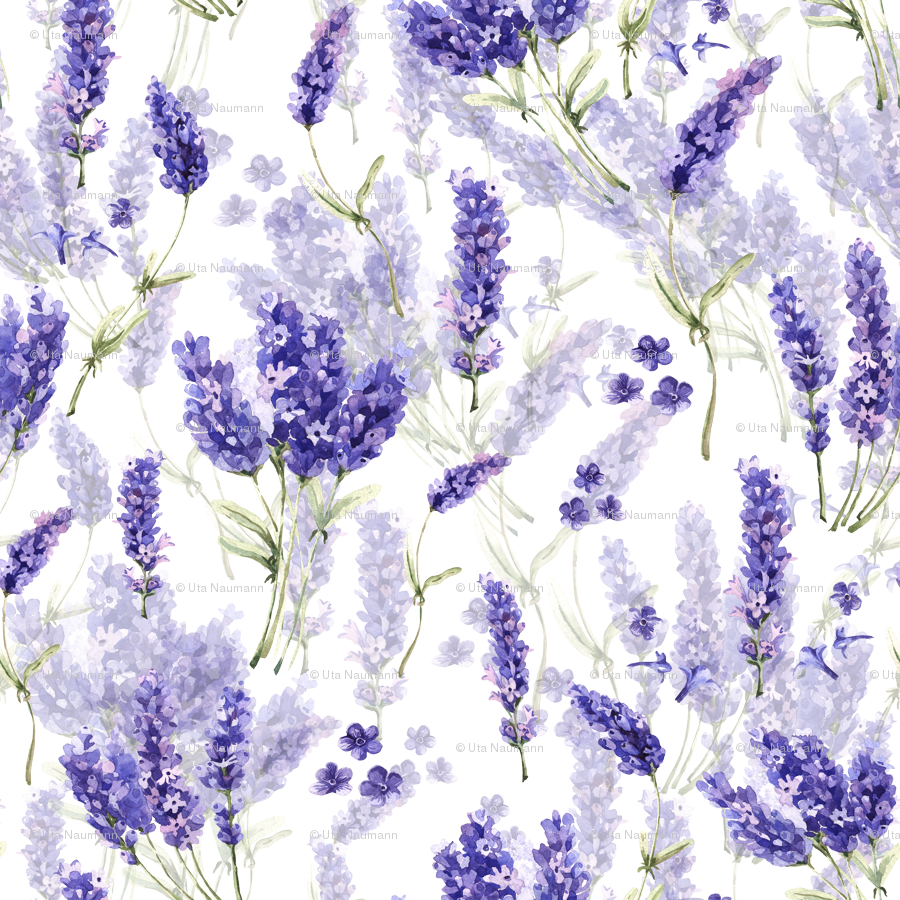 English Lavender Pattern Background PNG Image