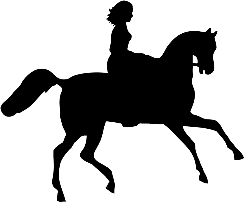 Equestrian Silhouette Profile PNG Image