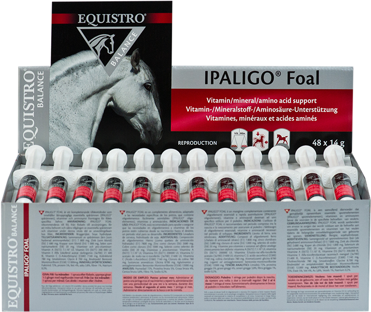 Equistro Ipaligo Foal Supplement Packaging PNG Image