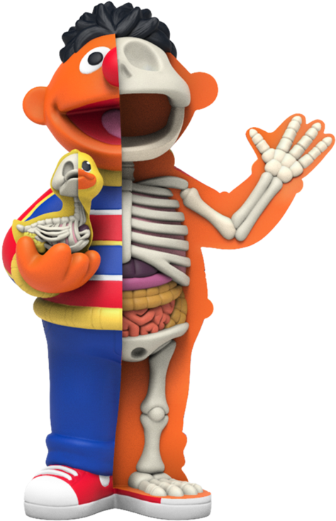 Ernie Anatomy Lesson Sesame Street PNG Image