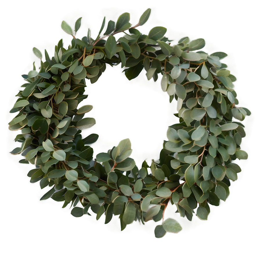 Eucalyptus Garland Png 06272024 PNG Image