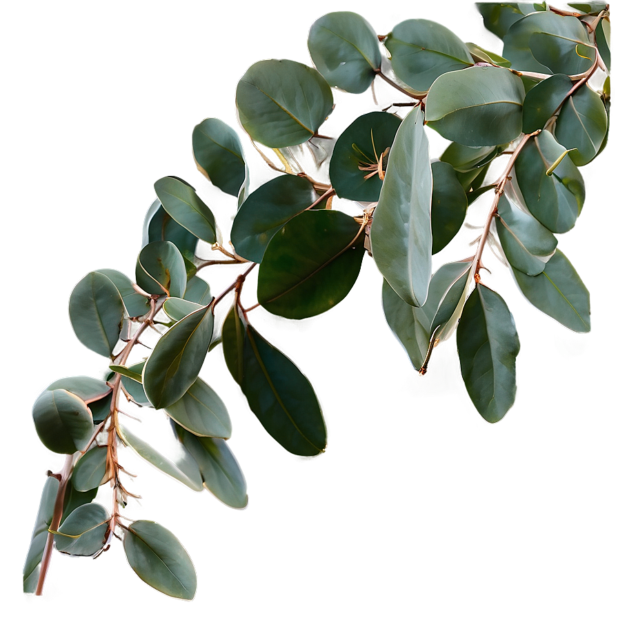 Eucalyptus Table Centerpiece Png 05242024 PNG Image