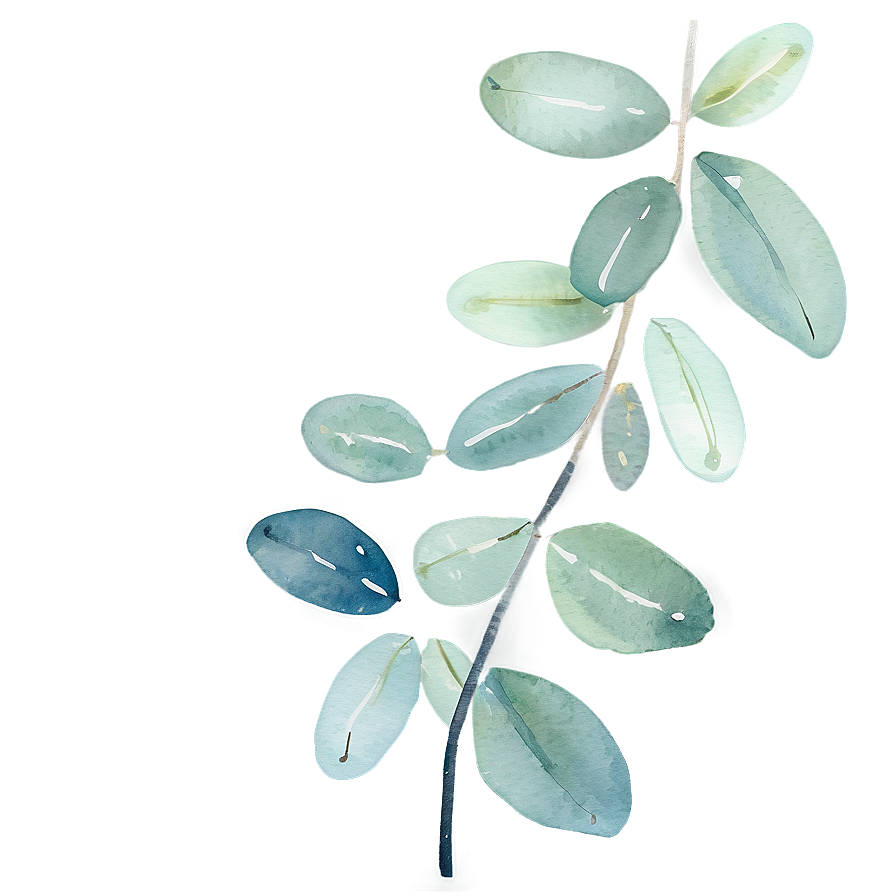 Eucalyptus Watercolor Greeting Card Png Kck29 PNG Image