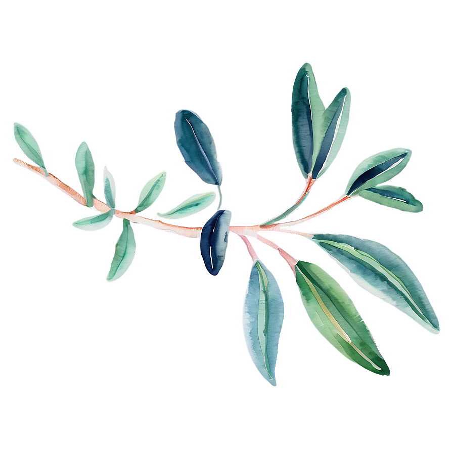 Eucalyptus Watercolor Scarf Design Png 2 PNG Image