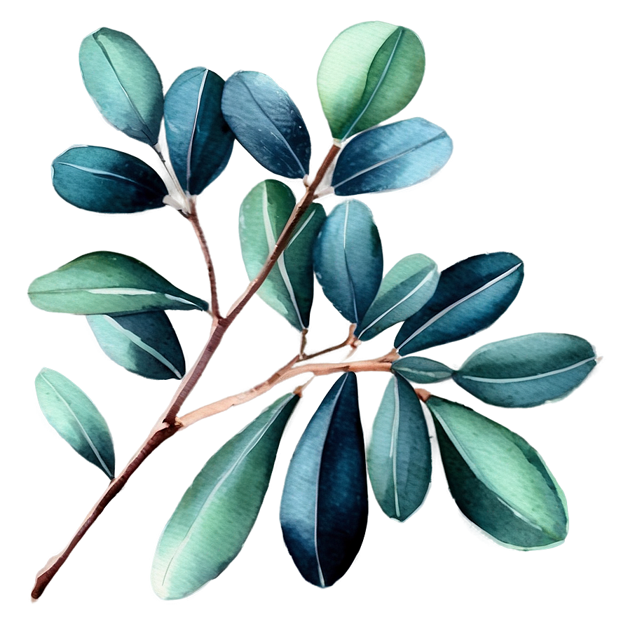 Eucalyptus Watercolor Set Png Fqw PNG Image