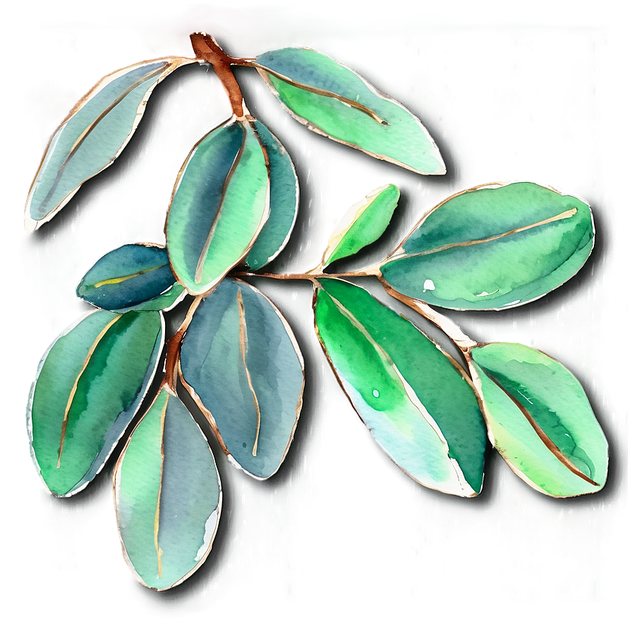 Eucalyptus Watercolor Thank You Card Png Amp PNG Image