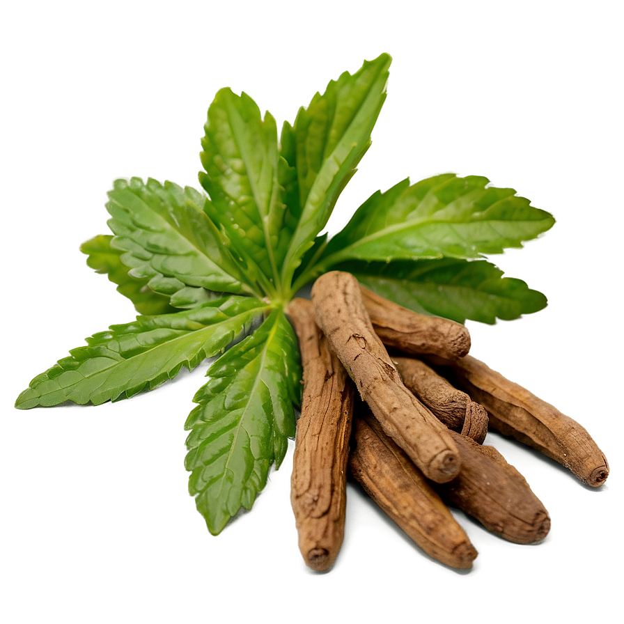 European Herb Png 1 PNG Image