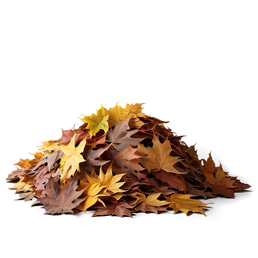 Evening Leaf Pile Png 06202024 PNG Image