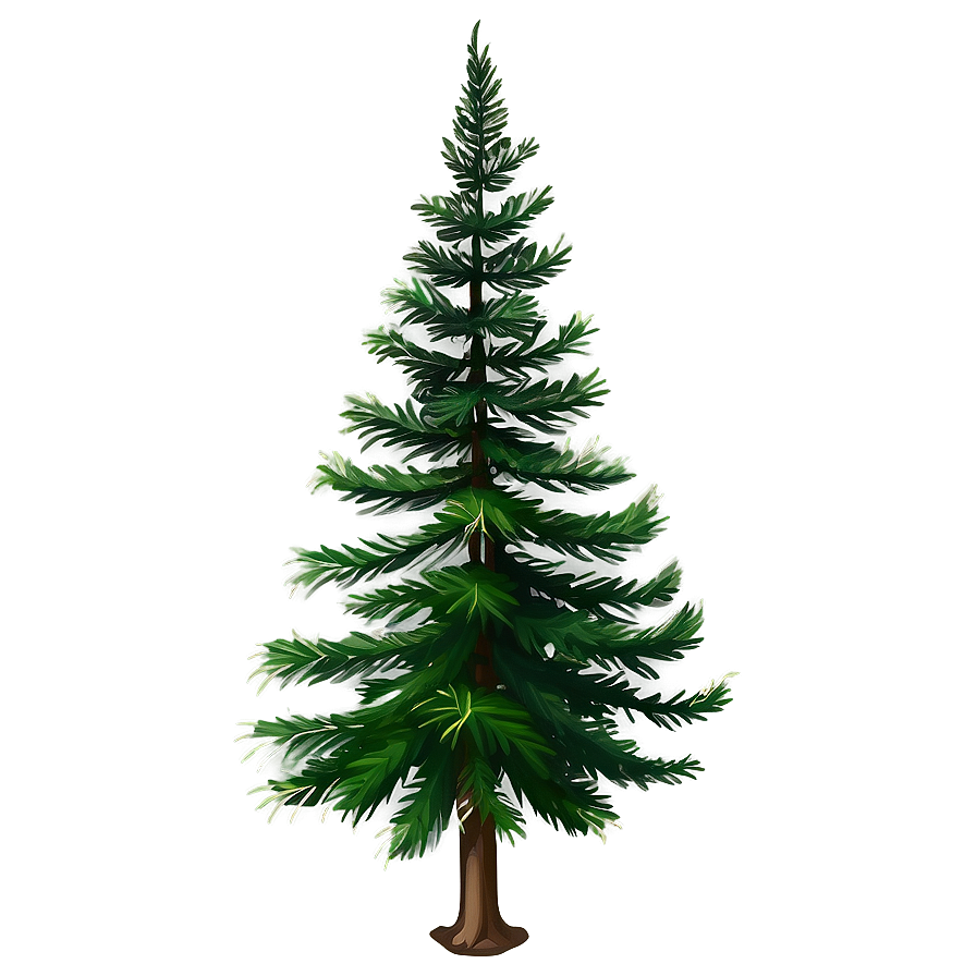 Evergreen Fir Tree Png Pvn PNG Image