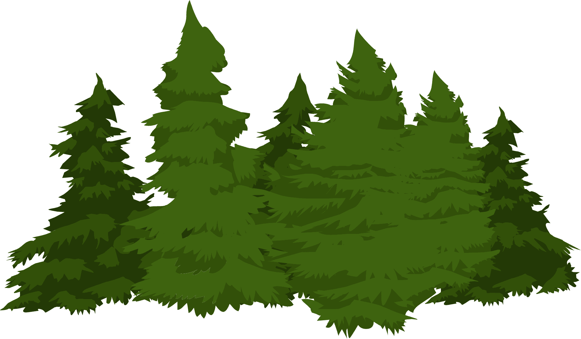 Evergreen_ Forest_ Illustration.png PNG Image