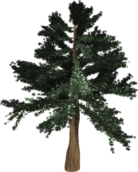 Evergreen Nighttime Illustration PNG Image