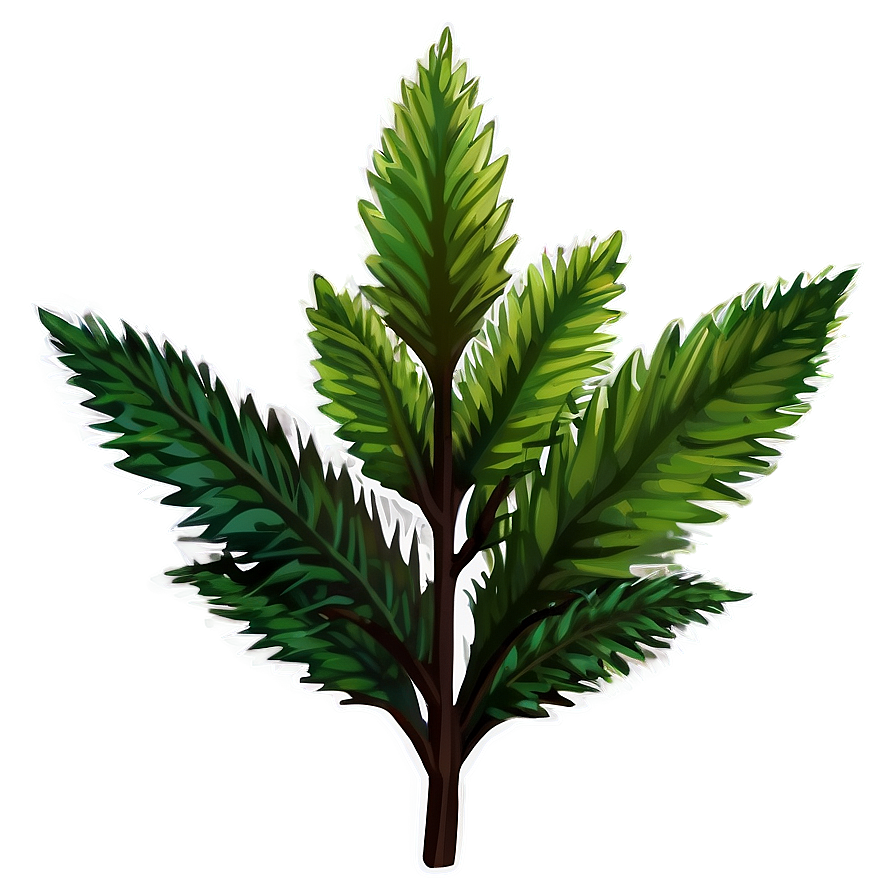 Evergreen Plants Png Bte7 PNG Image