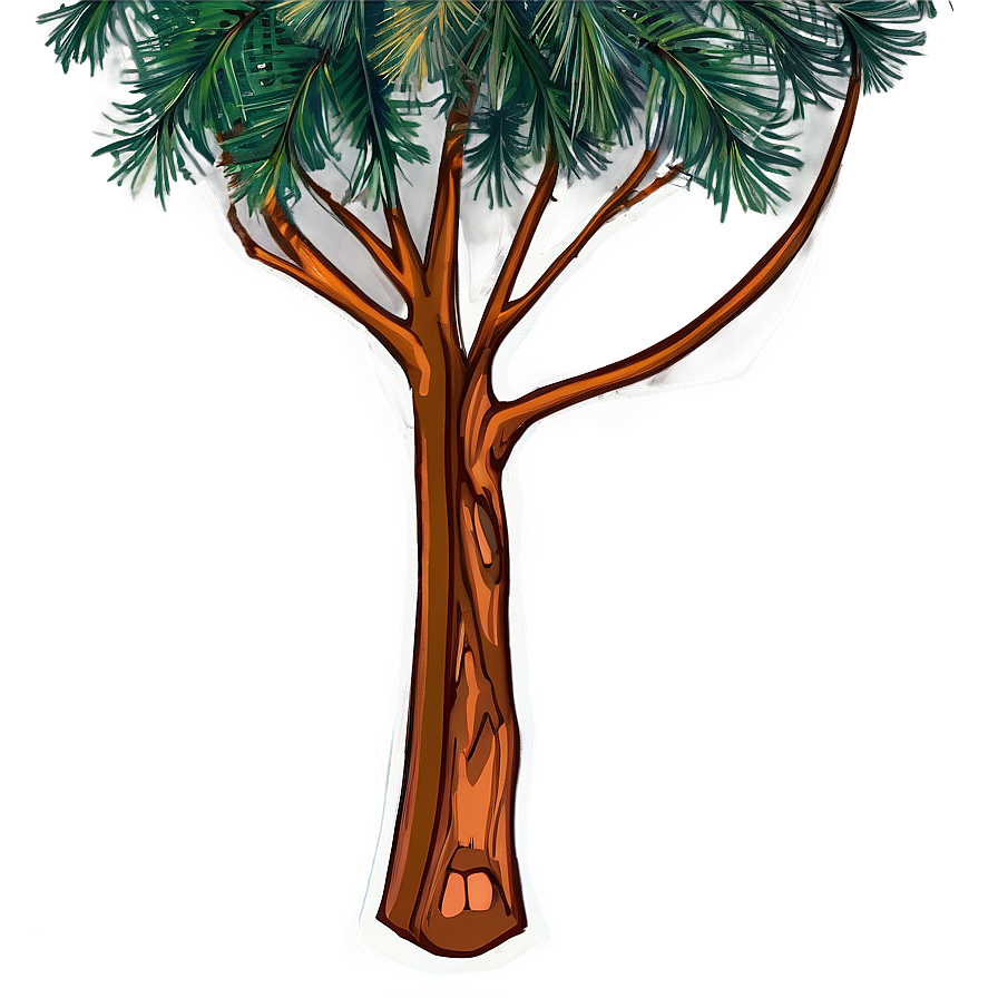 Evergreen Tree Drawing Png Aql PNG Image