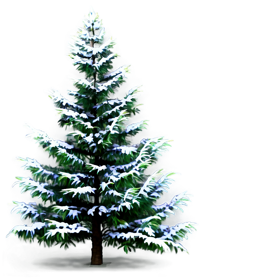 Evergreen Tree In Nature Png 21 PNG Image